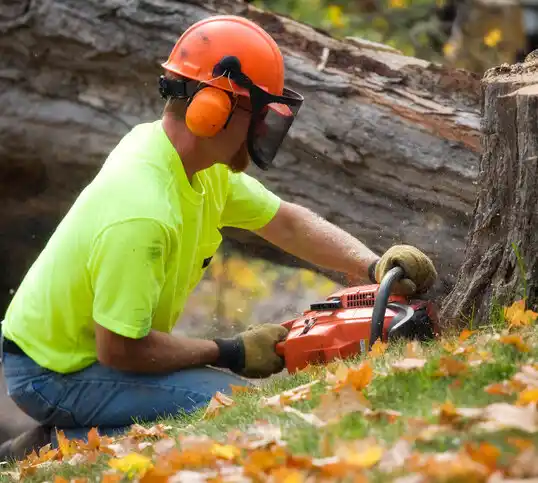 tree services Pequot Lakes